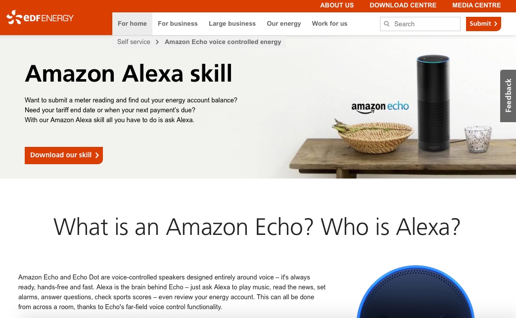 EDF Energy Amazon Alexa Skill
