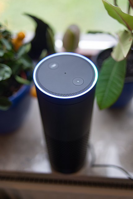 Amazon Echo and pot plants